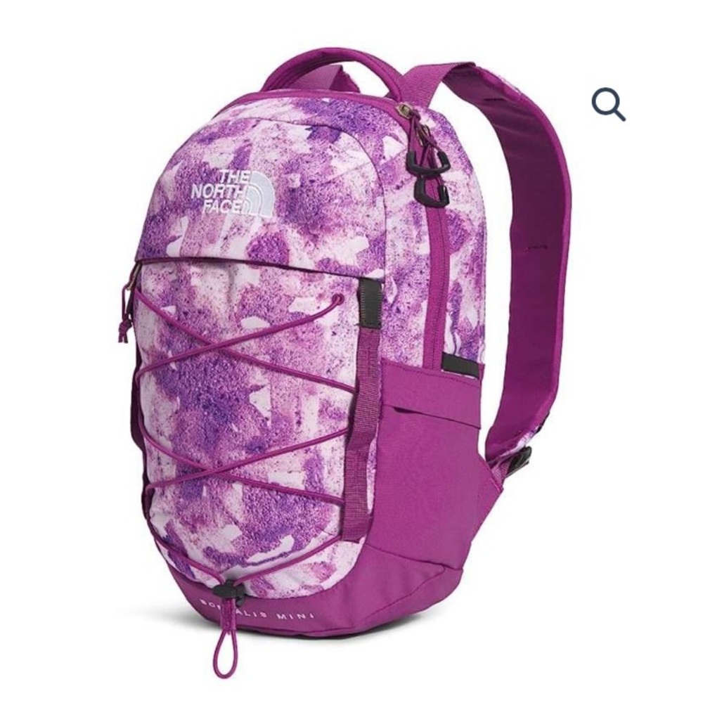 The North Face Violet and White Backpack